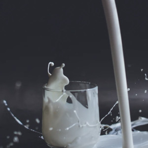 Во Владимирской области заметили необоснованно высокие цены на молочку