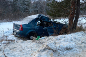 В Гусь-Хрустальном районе 67-летний автомобилист погиб после наезда на дерево