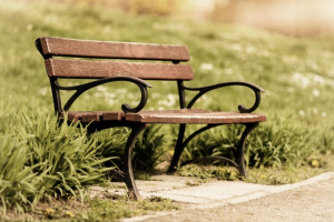 Закупка лавочек в Муроме обернулась судом