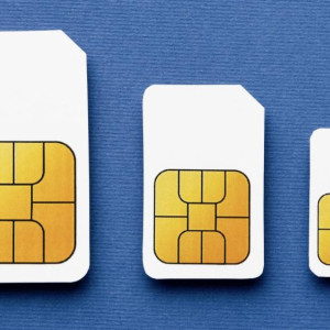 Владимирские силовики задержали двоих жительниц Подмосковья за размещение сим-боксов