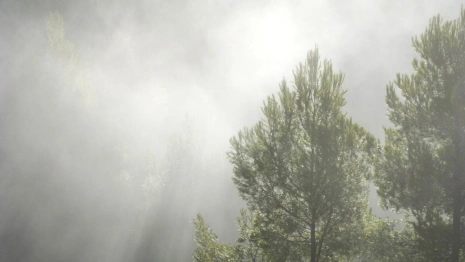 Прогноз погоды во Владимирской области на 12 июля