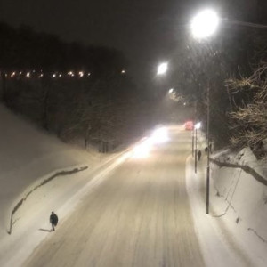 Владимирских автомобилистов попросили убрать машины с 9 улиц