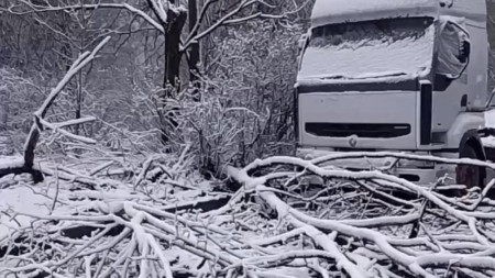 Во Владимире ураган повалил деревья и обесточил микрорайон