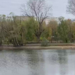 Во Владимире у Соловьиного пруда появится живая изгородь