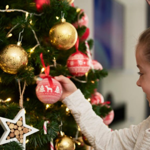 Во Владимирской области открыли прием заявок на акцию «Елка желаний»