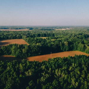 Во Владимирской области Героям СВО решили бесплатно выдавать землю