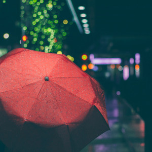 Прогноз погоды во Владимирской области на 14 ноября