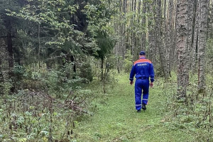 Во Владимирской области нашли труп человека в болоте