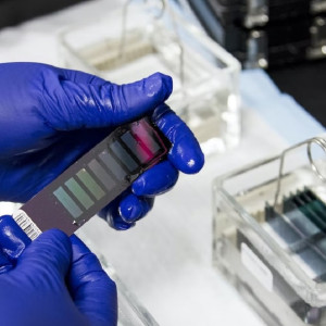 Во Владимире решили построить два высокотехнологичных завода 