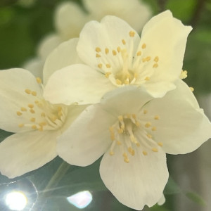 Прогноз погоды во Владимирской области на 12 июня