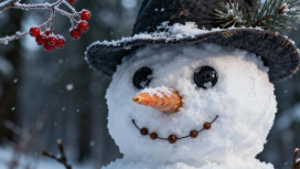 Прогноз погоды на 8 января 2026 года во Владимире и области