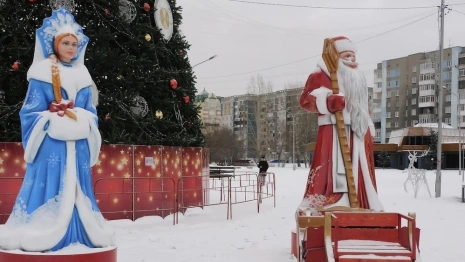 Видеозвонок и авторская программа. Что и за какую цену предлагают Деды Морозы владимирцам