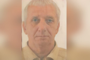 Во Владимирской области пропал 66-летний грибник