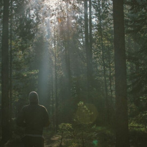 Заблудившуюся в лесу под Ковровом семью нашел глава сельского поселения