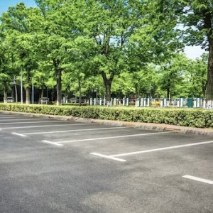 К организации платных парковок во Владимире приступят с 1 марта