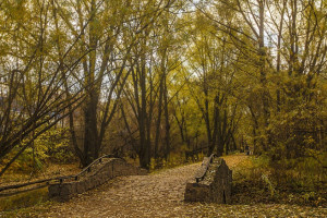 Объявленного в розыск 56-летнего жителя Колокши во Владимирской области нашли живым