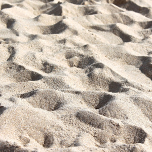 Обратившемуся к Путину дворнику из Коврова привезли песок