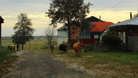 Жители Владимирской области собрали почти 26 млн рублей на благоустройство
