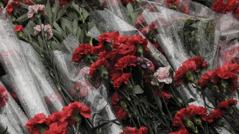 Во Владимирской области в ДТП погибли 5 человек