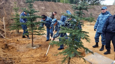 Во Владимирской области заложили Аллею Памяти в честь защитников Родины