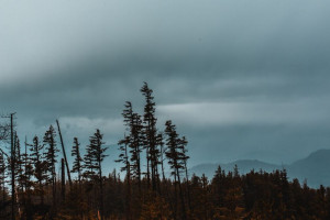 Во Владимирской области в выходные установится климатическая норма