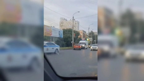 На выезде из Владимира сбили перебегающего на красный ребенка с собакой