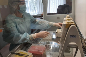 Во Владимирской области с людей сняли 14 зараженных вирусами клещей