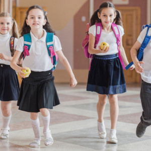 Горячее питание получат 75% школьников Владимирской области