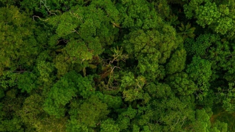 Во Владимирской области «Мещера» попала под суд