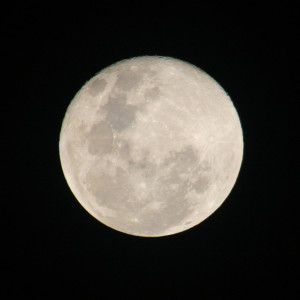 Владимирцы смогут увидеть Бобровое полнолуние