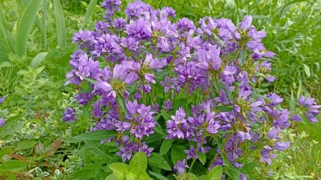 Прогноз погоды во Владимире и области на 29 августа