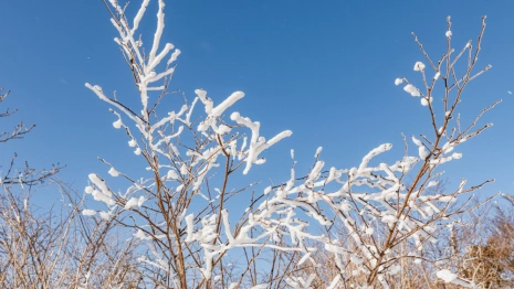 Прогноз погоды во Владимире и области на 8 февраля