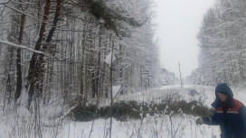 Во Владимирской области Гусь-Хрустальный и Меленковский районы остались без света