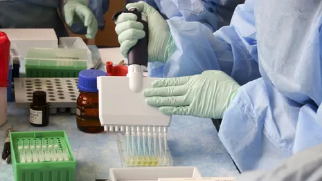 Во Владимирской области медики выписали ложную справку о прививке от ковида 
