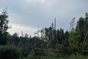 В Ковровском районе из-за урагана повредилась высоковольтная ЛЭП