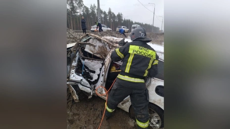 Во Владимирской области на платнике М-12 людей зажало в салоне после ДТП