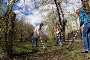 Во Владимирской области ликвидировали 17 стихийных свалок за неделю