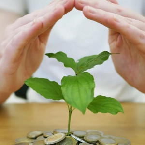 Владимирская область выделит на поддержку экономики 800 млн рублей в 2022 году