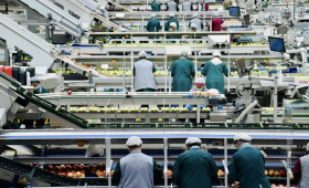 Во Владимире невыплата зарплаты 16 работникам торгового предприятия обернулась уголовным делом