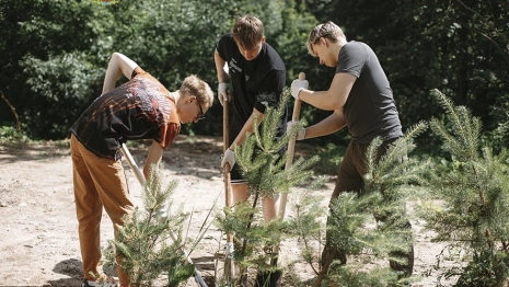 Во Владимире появилась Аллея молодых докторов