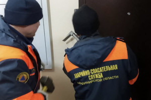 Во Владимирской области спасатели съехались к заперевшейся в квартире бабушке