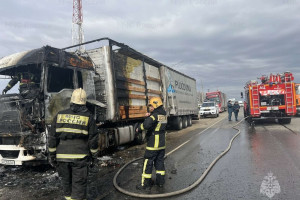 Спасатели назвали причину возгорания ГАЗели во Владимире