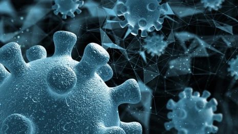 Во Владимирской области заболеваемость коронавирусом выросла до 33 случаев