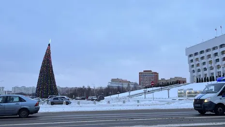 Во Владимире поставили «Пизанскую елку» у Белого дома