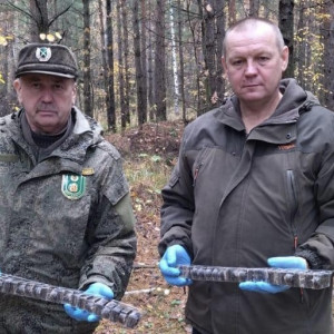 Ветеринары вакцинировали лесных обитателей Владимирской области от бешенства