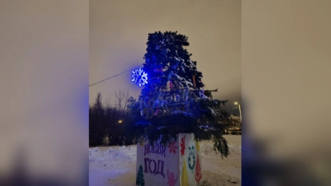 В Коврове «обезглавили» новогоднюю ель