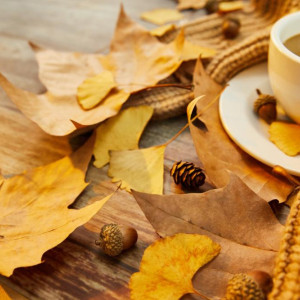 Прогноз погоды во Владимире и области на 15 сентября 2025 года