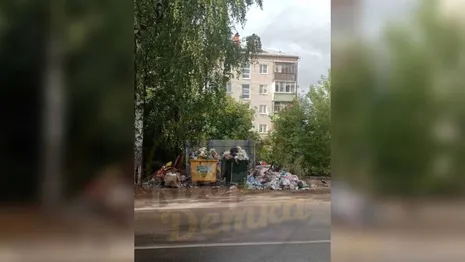 Жители Коврова потребовали переезда новых мусорных контейнеров