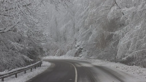 Во Владимирской области при строительстве трассы М-12 отремонтируют дороги