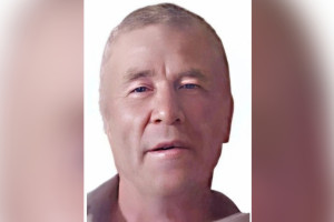 Владимирцев попросили помочь с поиском 58-летнего мужчины в панаме